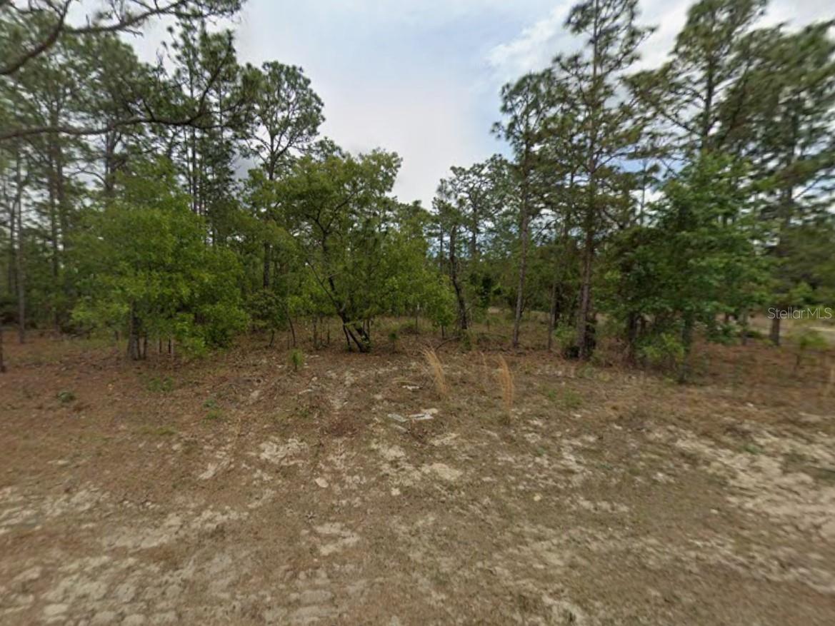 Image 4 of 5 For 7749 Santos Drive