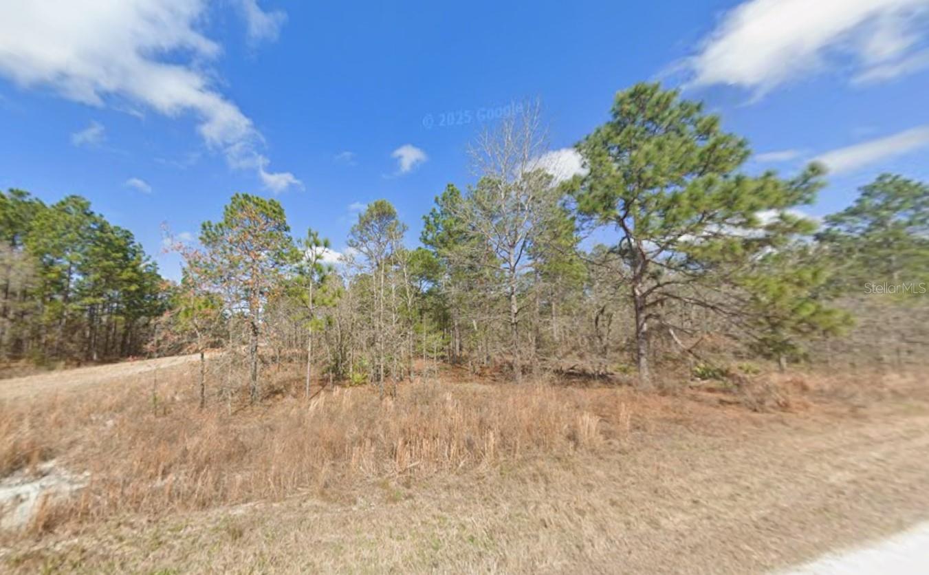 Listing photo id 2 for  Force Road 