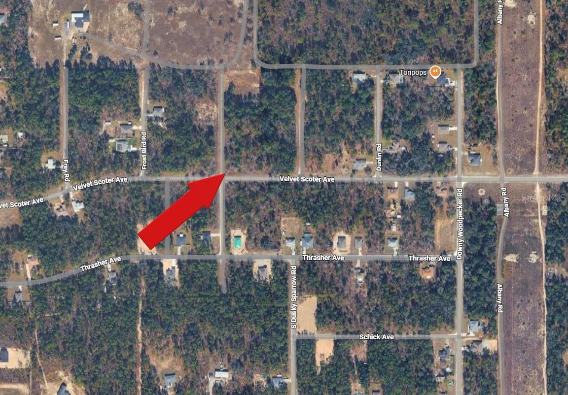 Listing photo id 3 for  Force Road 