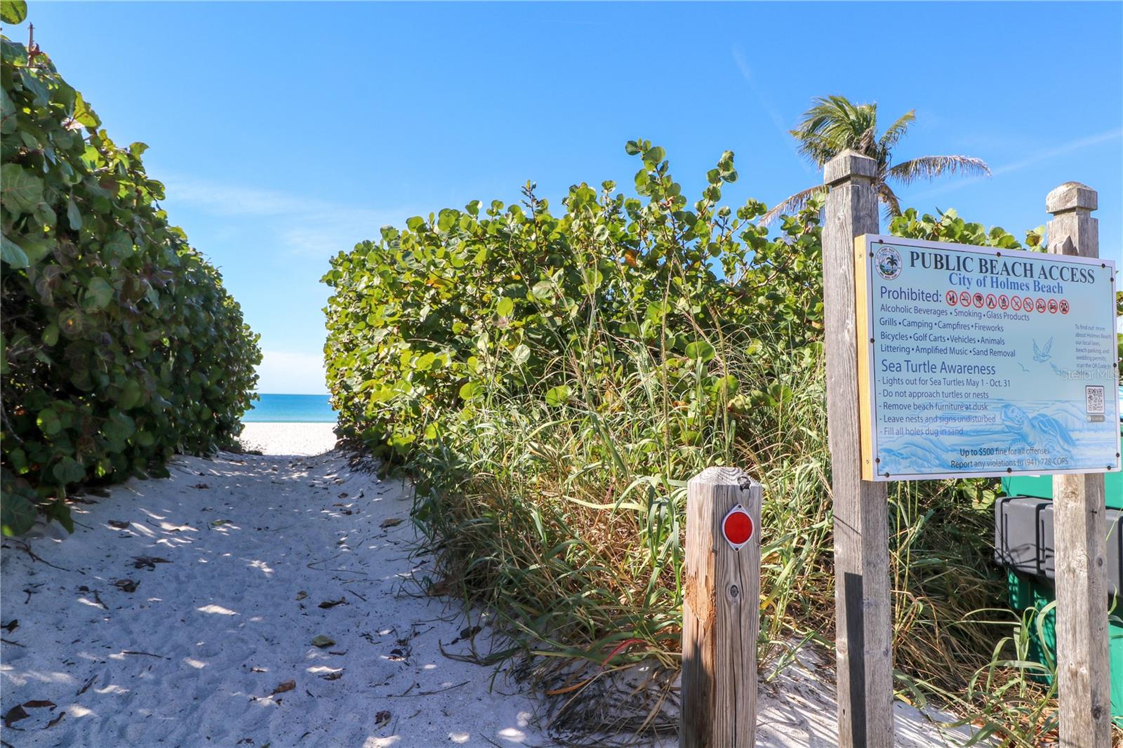 Image 43 of 48 For 213 71st Street A&b