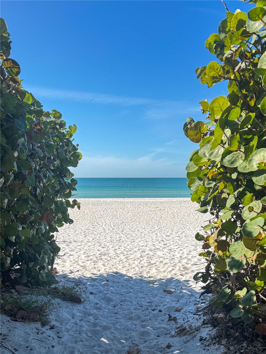 Image 44 of 48 For 213 71st Street A&b