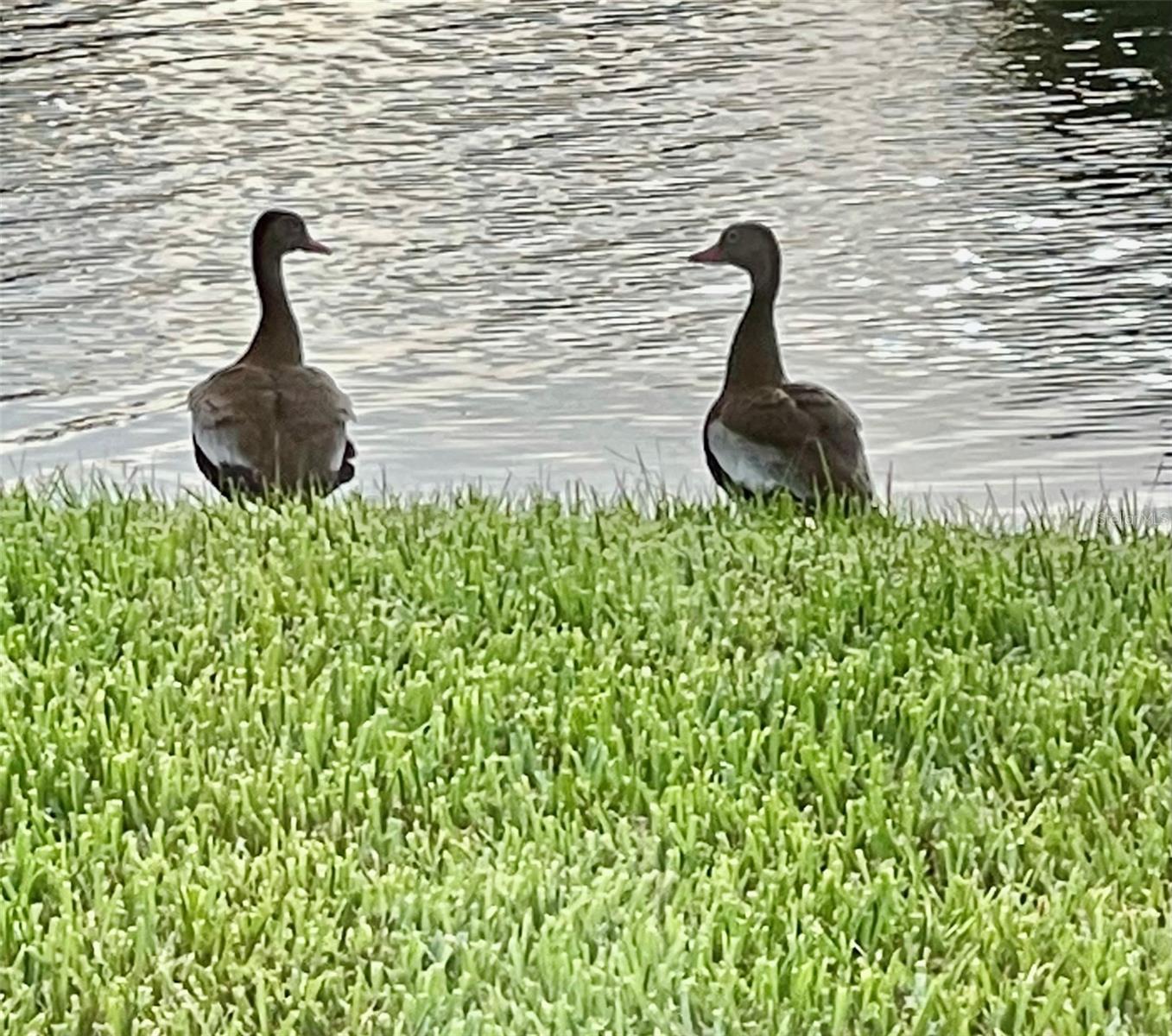 Image 34 of 54 For 10114 Highland Park Place