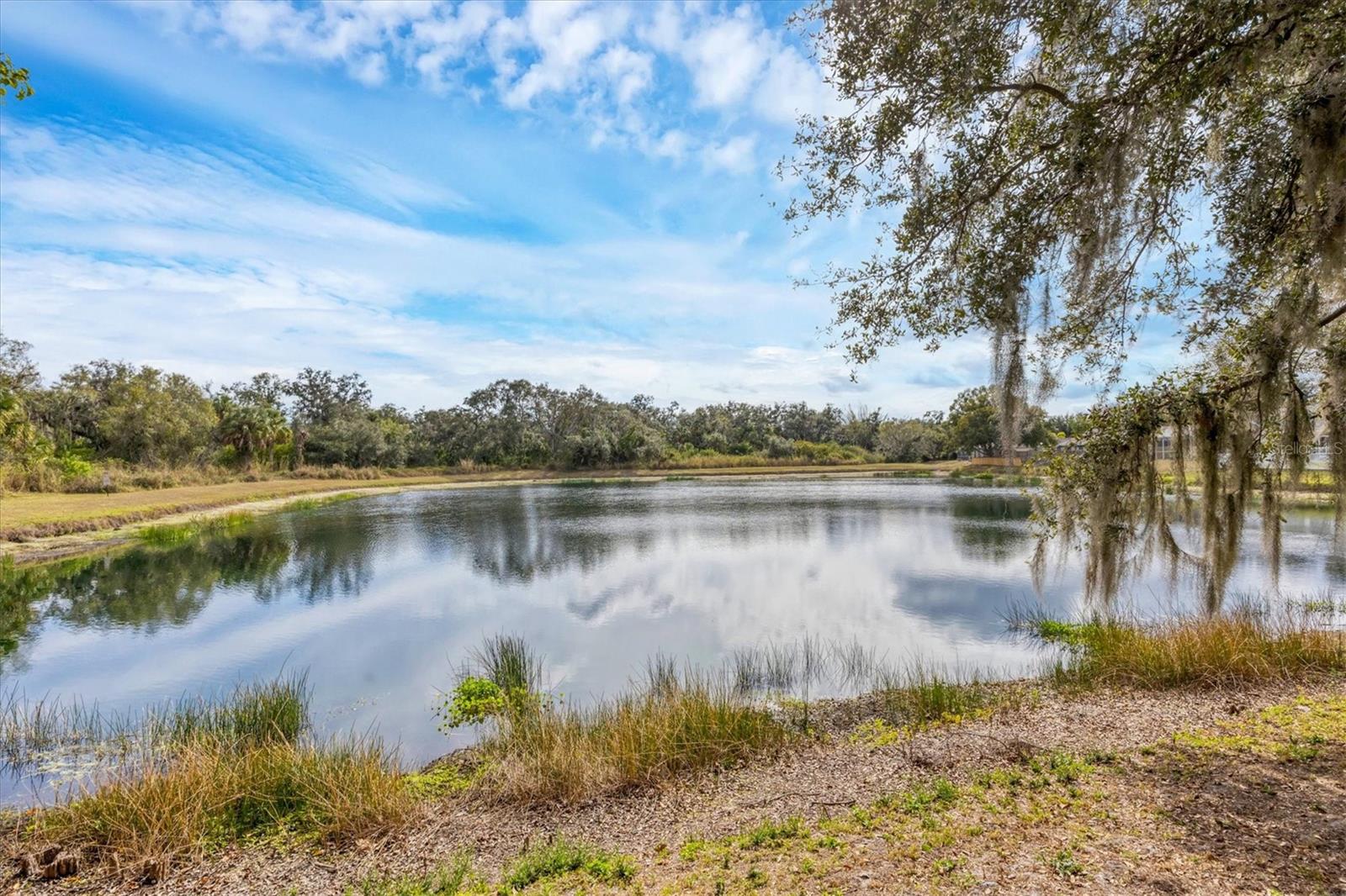 Image 35 of 35 For 11302 3rd Avenue E