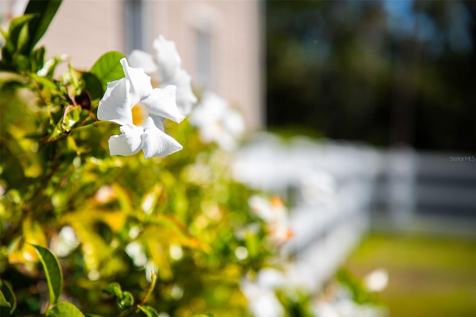 Image 20 of 99 For 20507 69th Avenue E