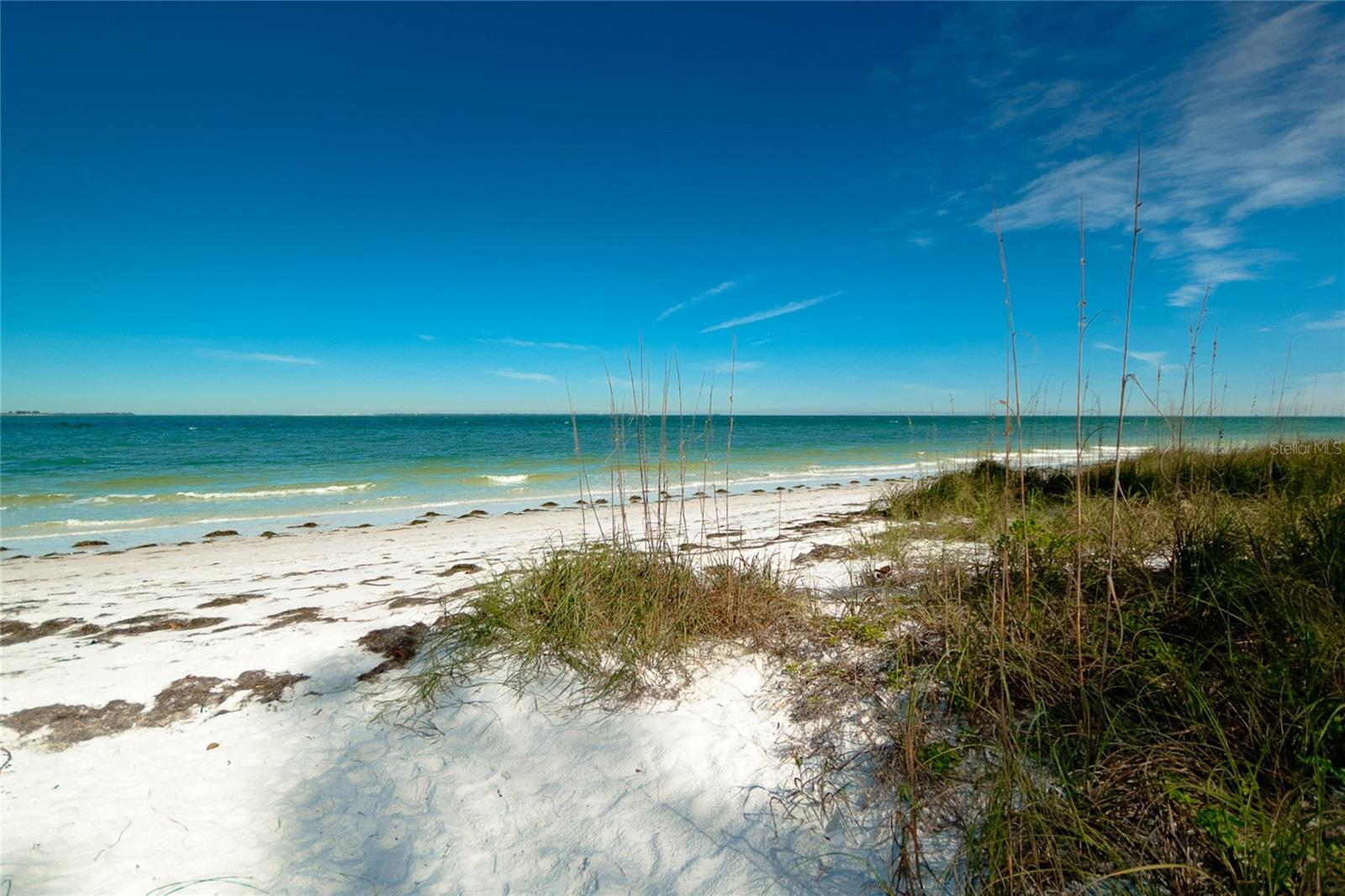 Image 41 of 42 For 805 Bay Boulevard