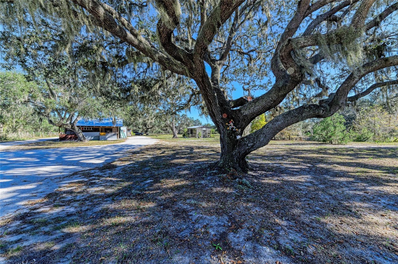 Image 41 of 58 For 7205 Wauchula Road