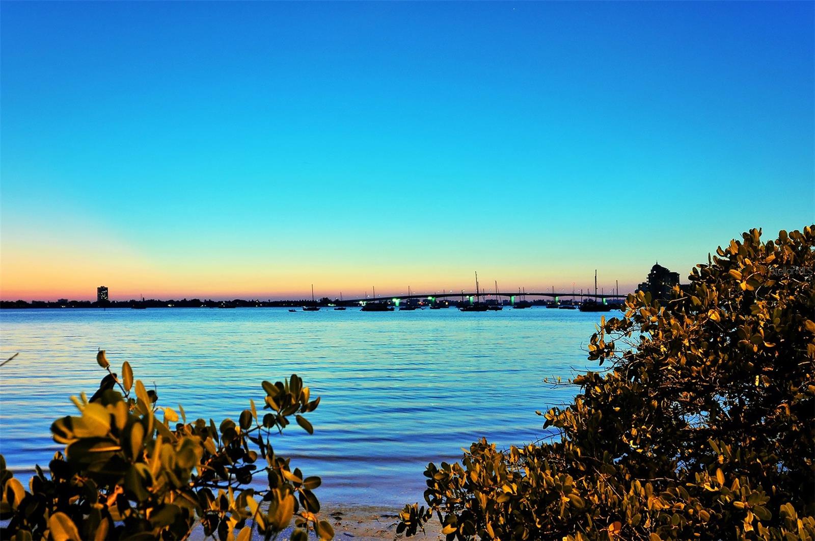 Image 53 of 62 For 770 Palm Avenue 704