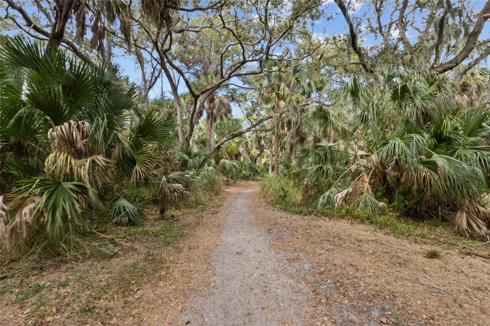 Image 41 of 45 For 4848 Camphor Avenue