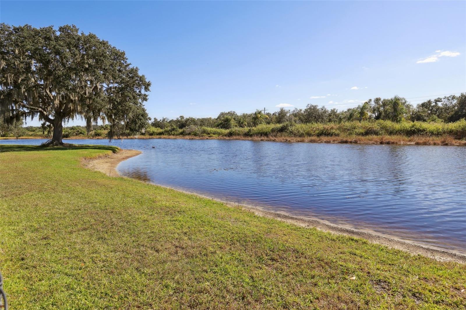 Image 34 of 34 For 2002 Palm View Road