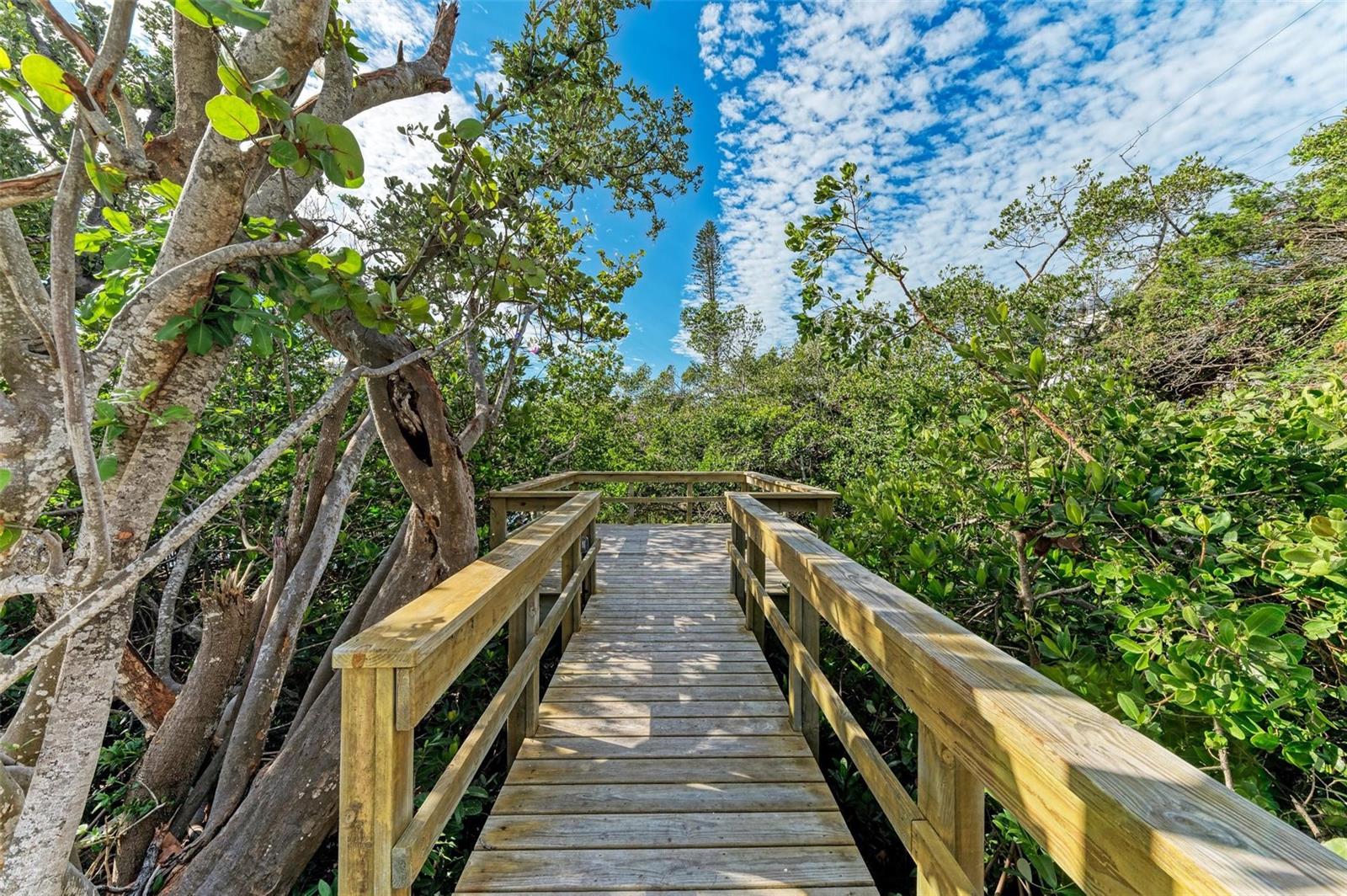 Image 9 of 69 For 115 Los Cedros Drive