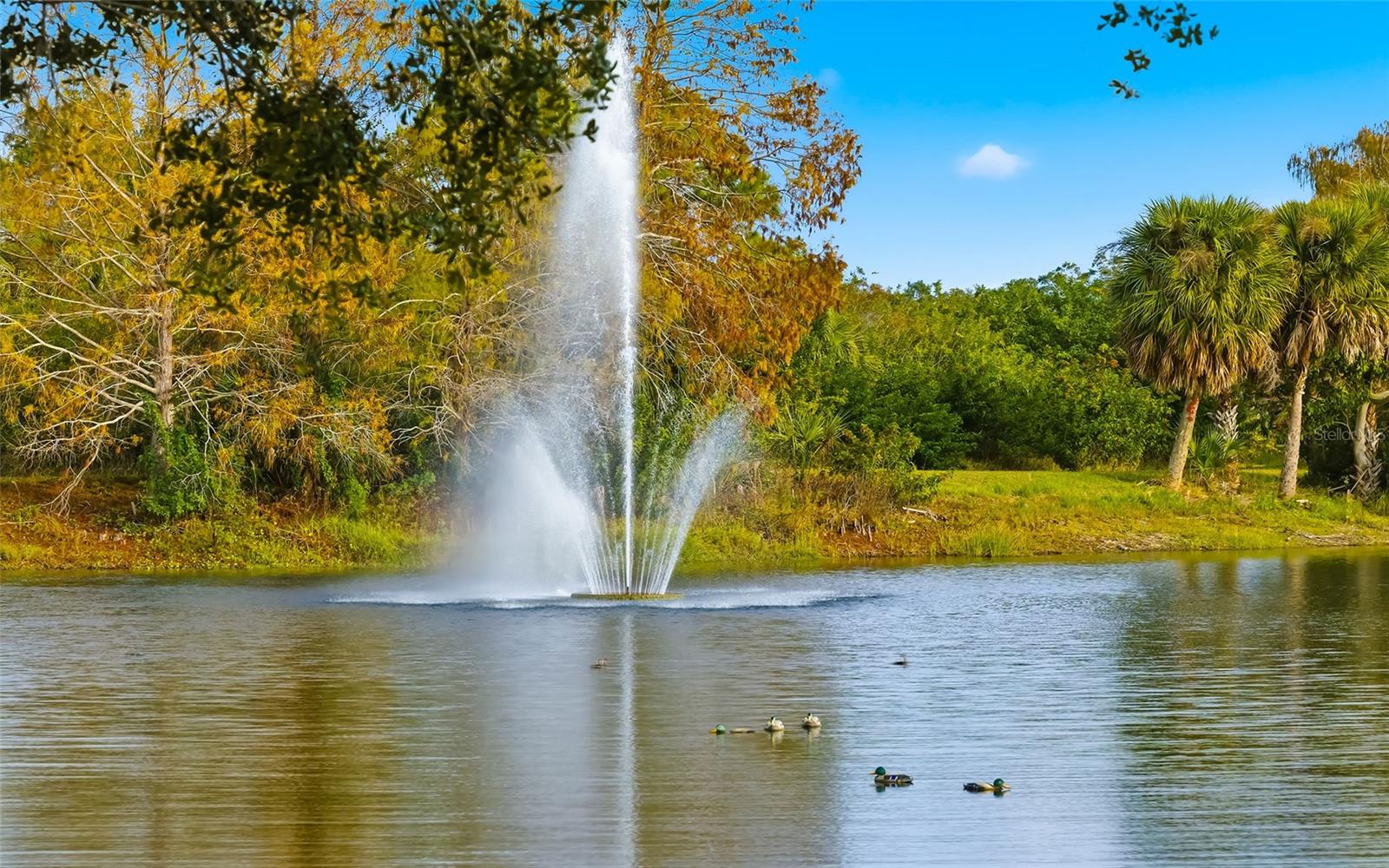 Image 50 of 50 For 5575 Modena Place