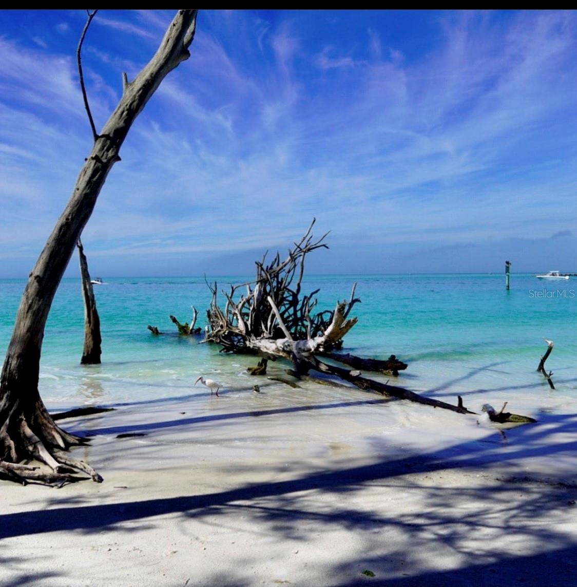 Image 10 of 69 For 6750 Gulf Of Mexico Drive 154