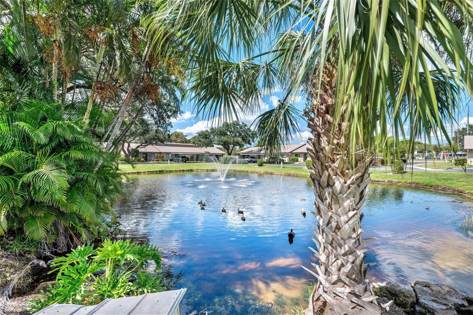 Image 18 of 30 For 6050 28th Street W B