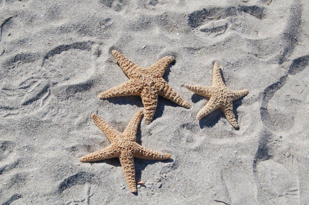 Image 49 of 56 For 545 Sanctuary Drive B506