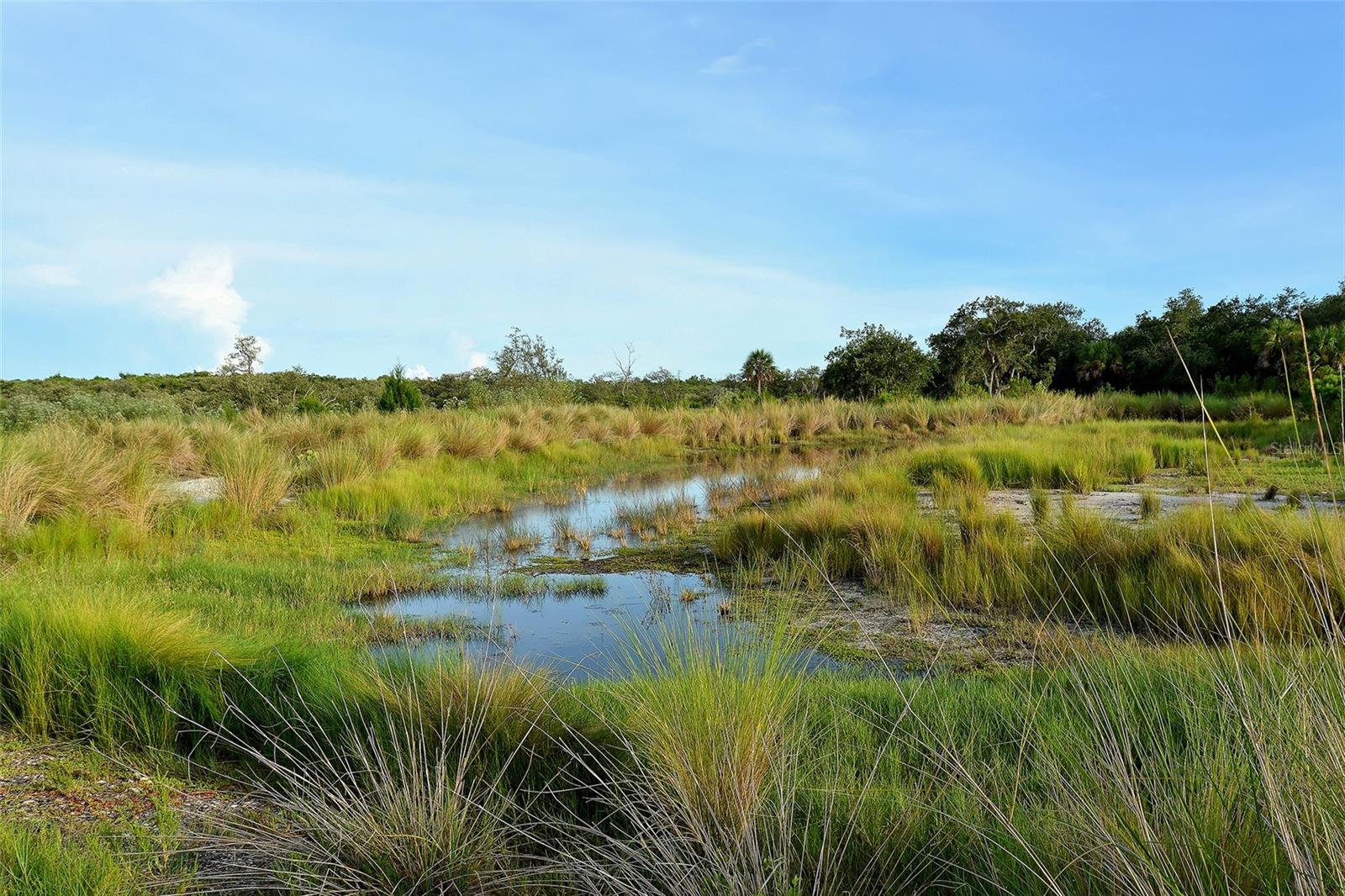 Image 87 of 87 For 388 Aruba Circle 201