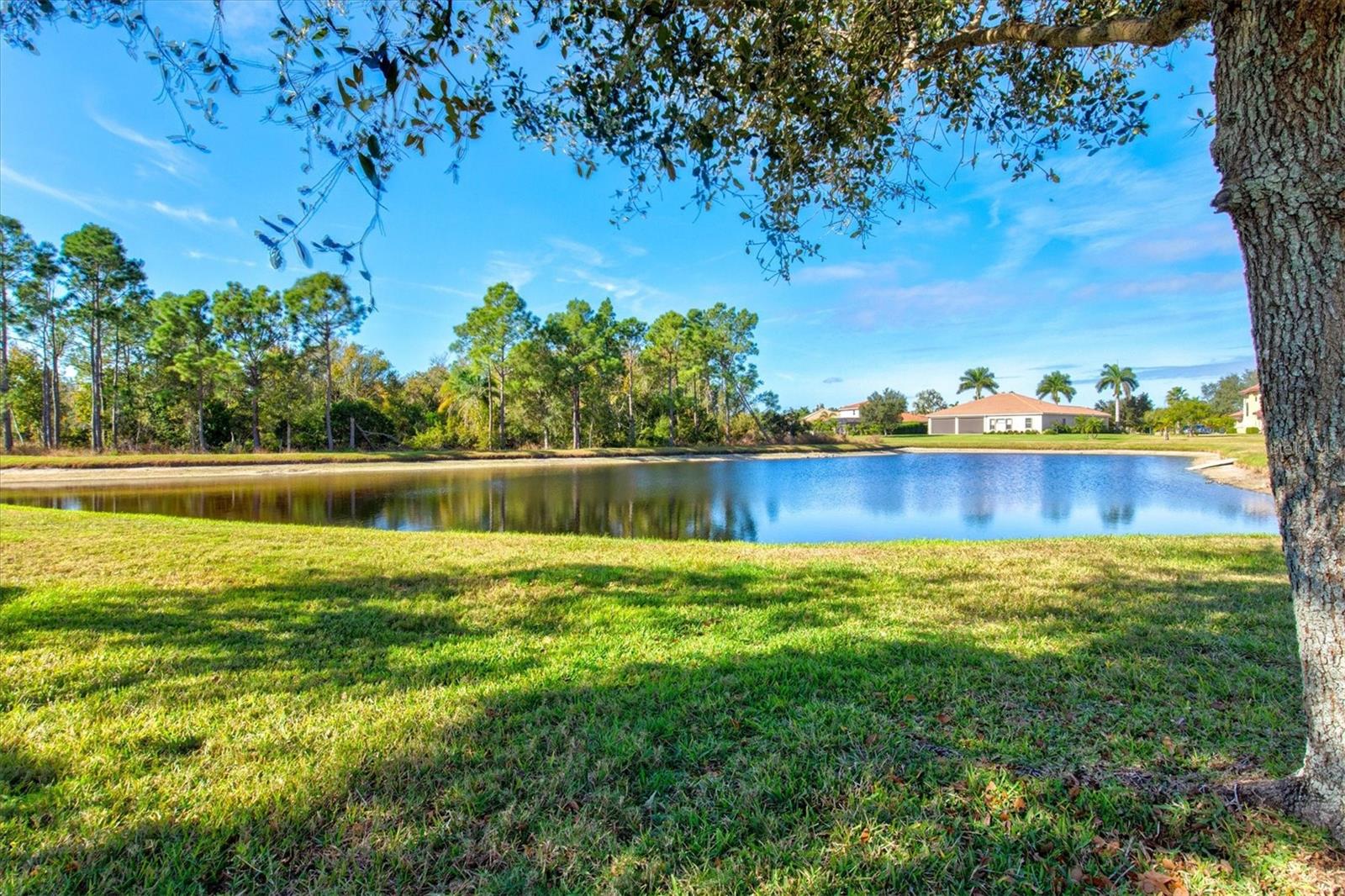 Image 65 of 75 For 210 166th Street Ne