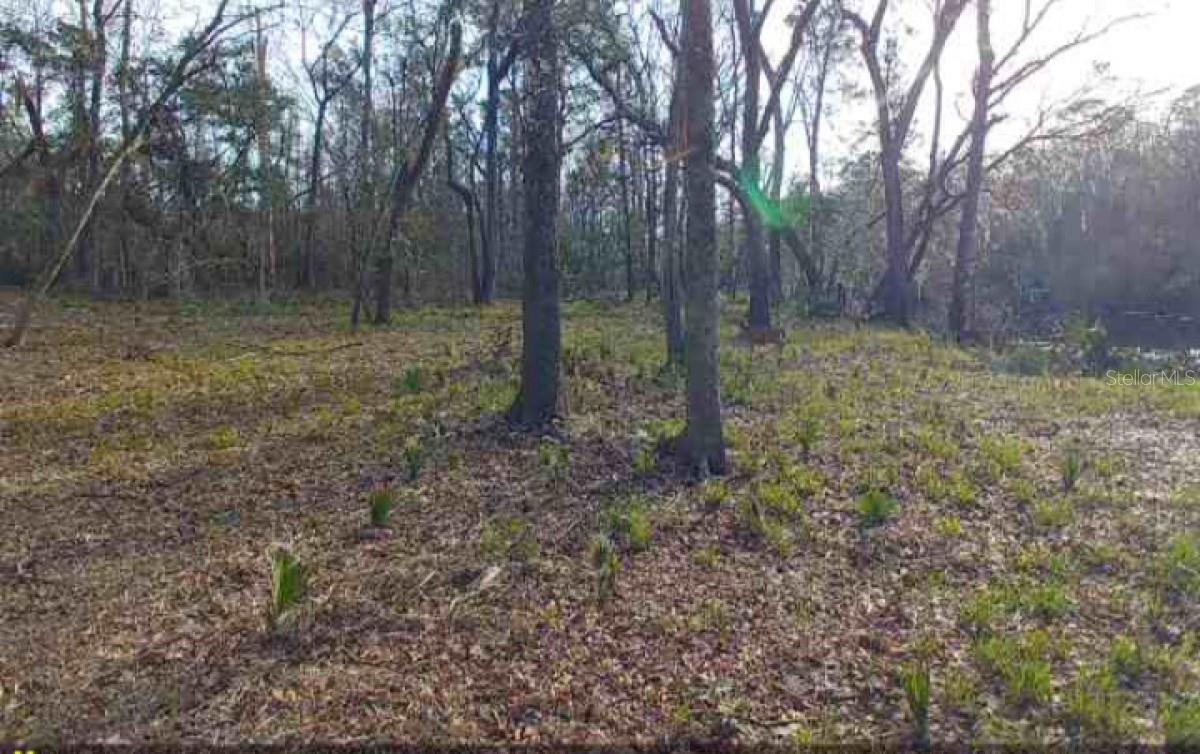 Image 4 of 9 For Dragon Way