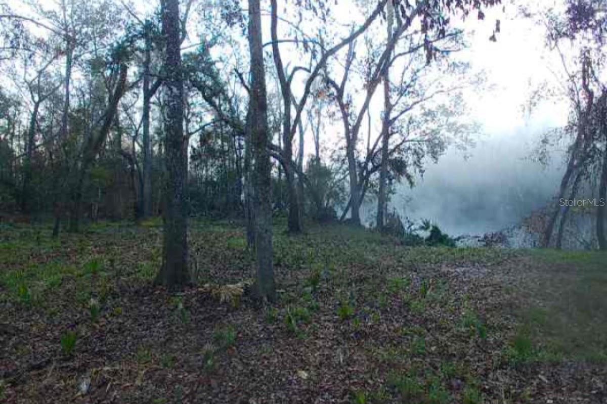 Image 9 of 9 For Dragon Way