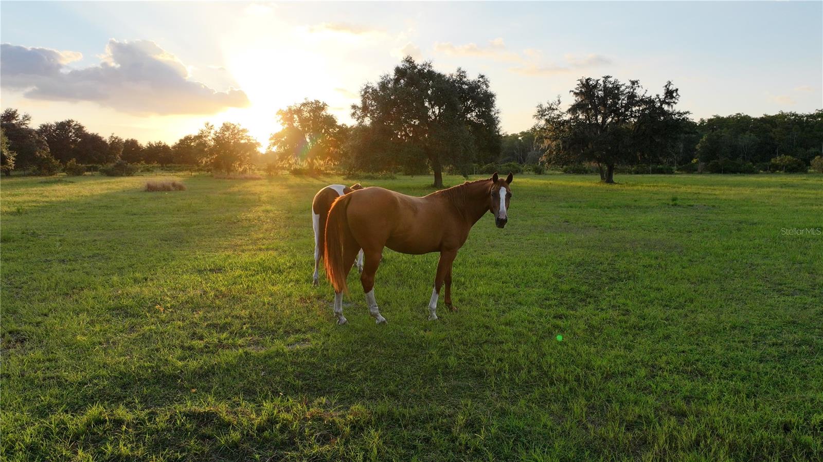 Image 5 of 15 For 45855 Clay Gully Road