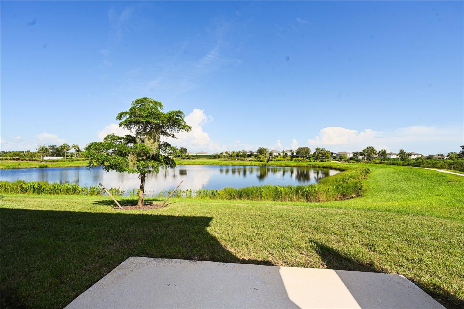 Image 23 of 29 For 8644 Lunar Skye Street