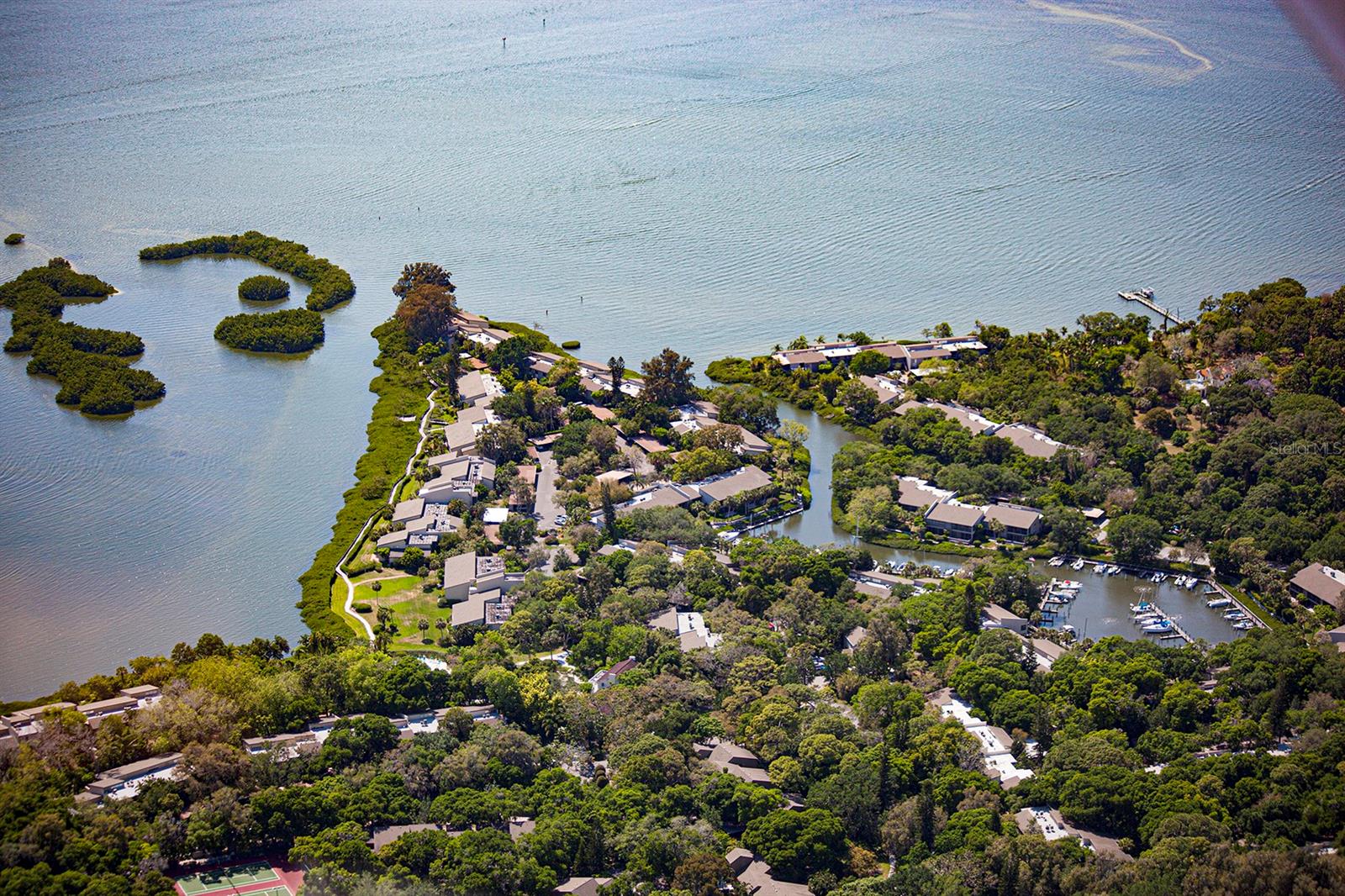 Image 38 of 38 For 1519 Pelican Point Drive 288