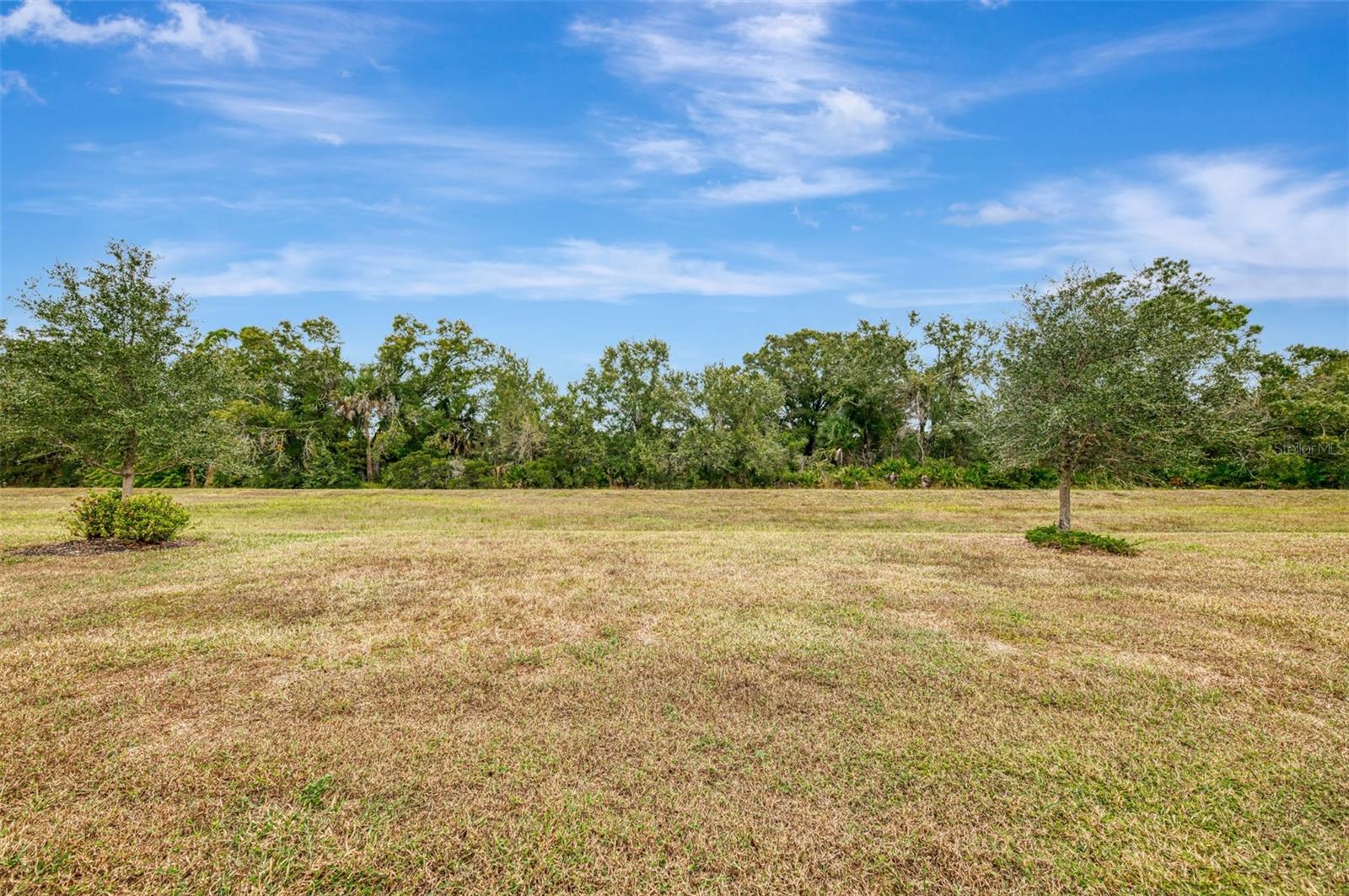 Image 53 of 73 For 12750 Cinqueterre Drive