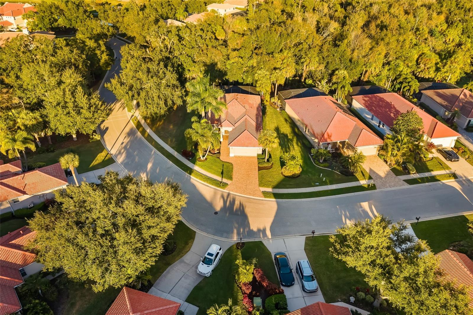 Image 50 of 86 For 743 Foggy Morn Lane