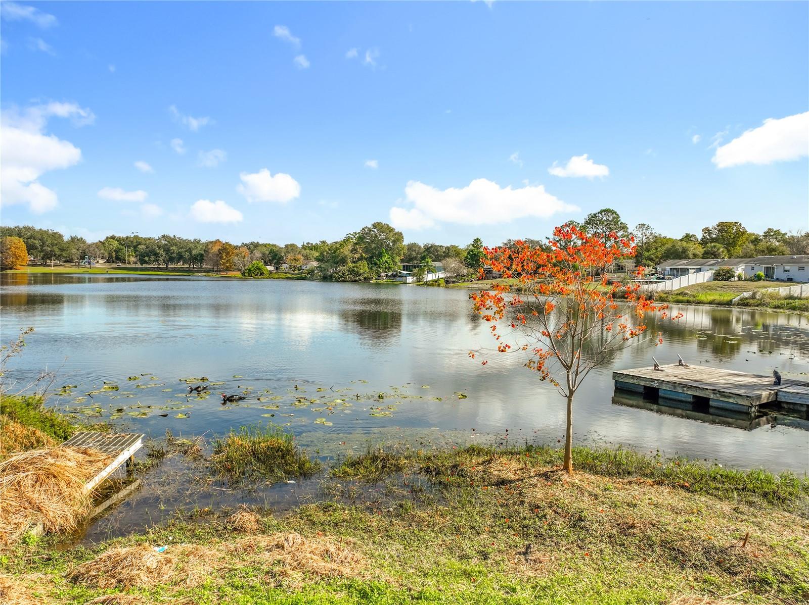 Image 64 of 68 For 1236 Russell Drive