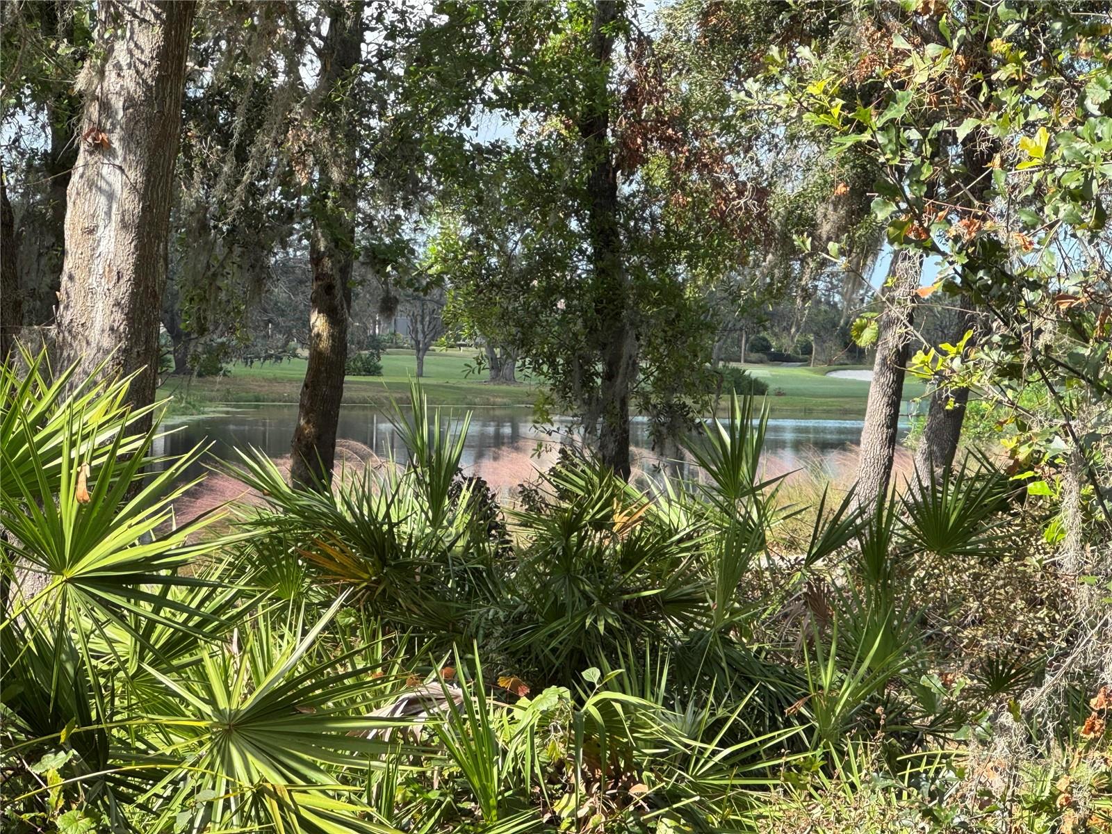 Image 44 of 85 For 13721 Palazzo Terrace