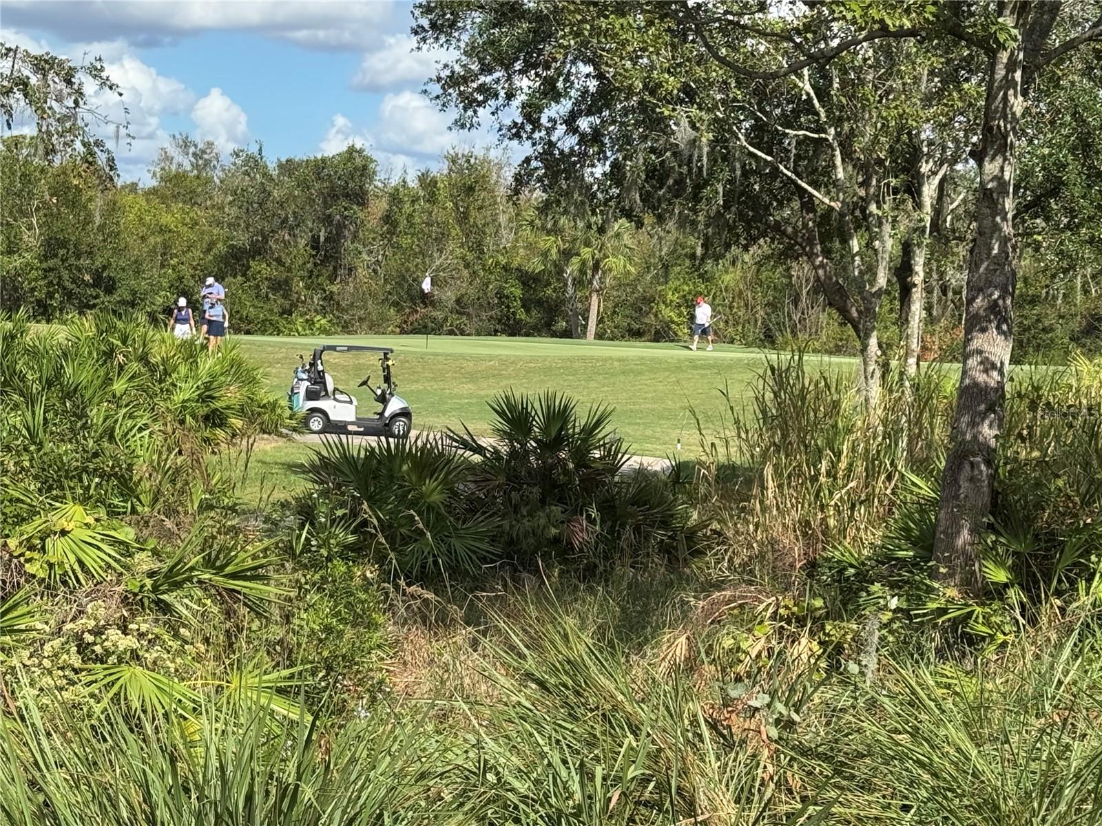 Image 45 of 85 For 13721 Palazzo Terrace