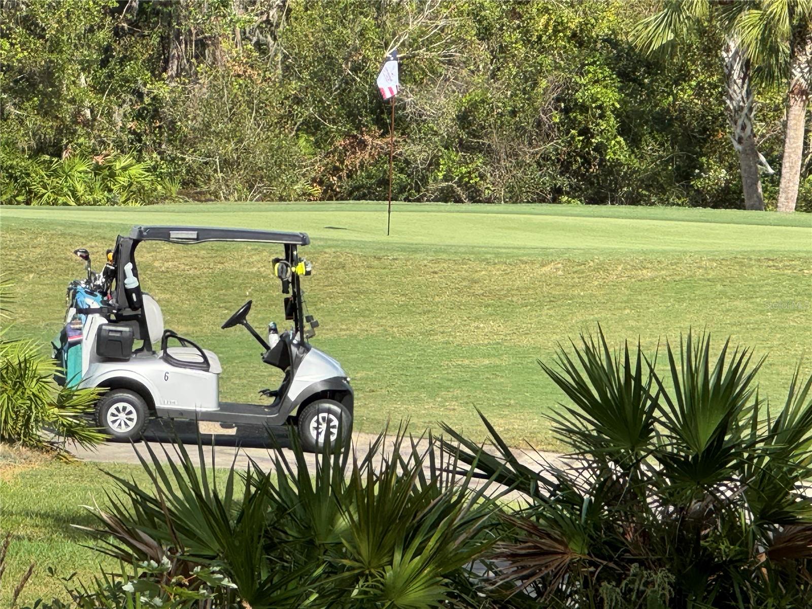 Image 46 of 85 For 13721 Palazzo Terrace