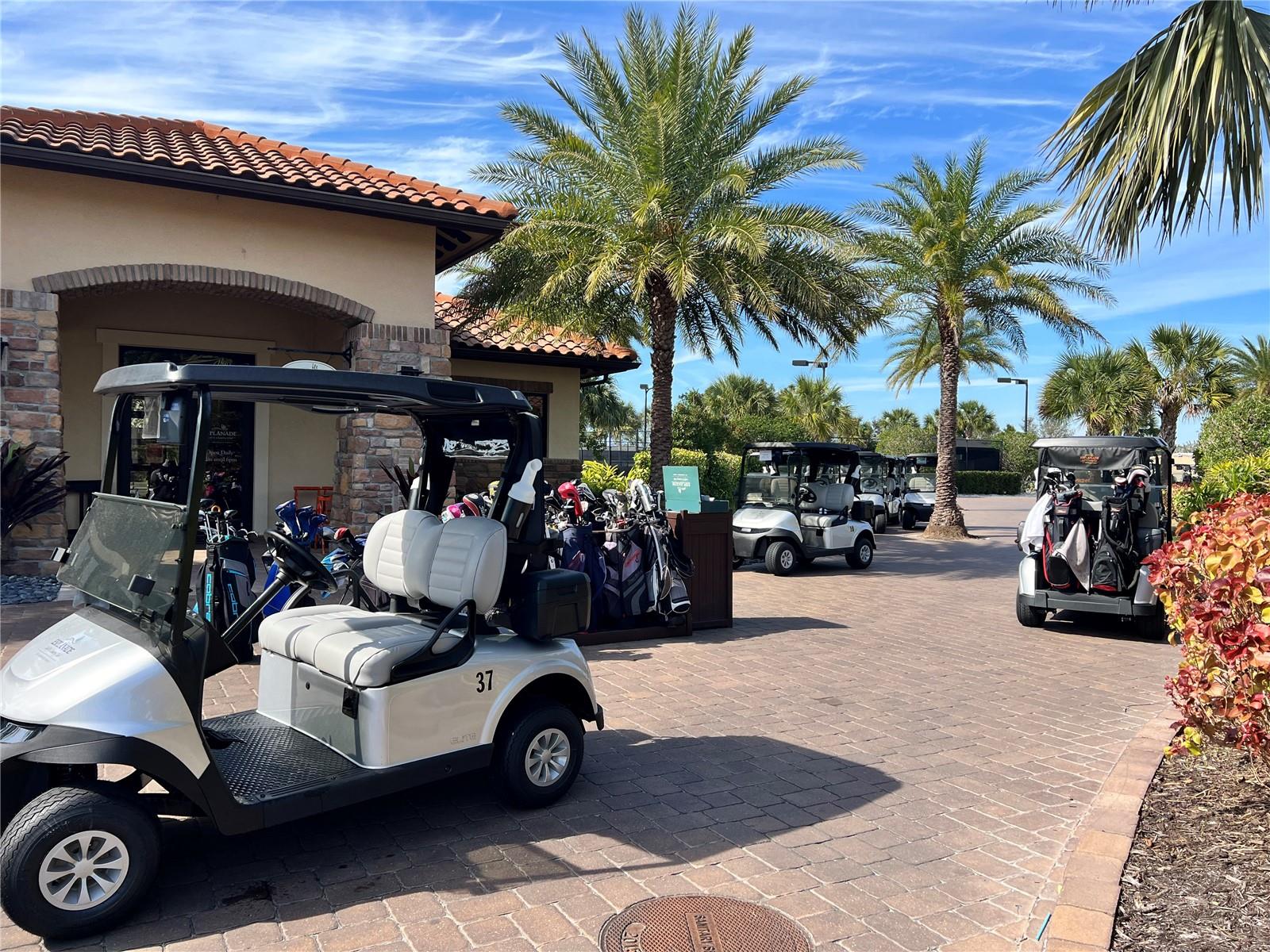 Image 73 of 85 For 13721 Palazzo Terrace