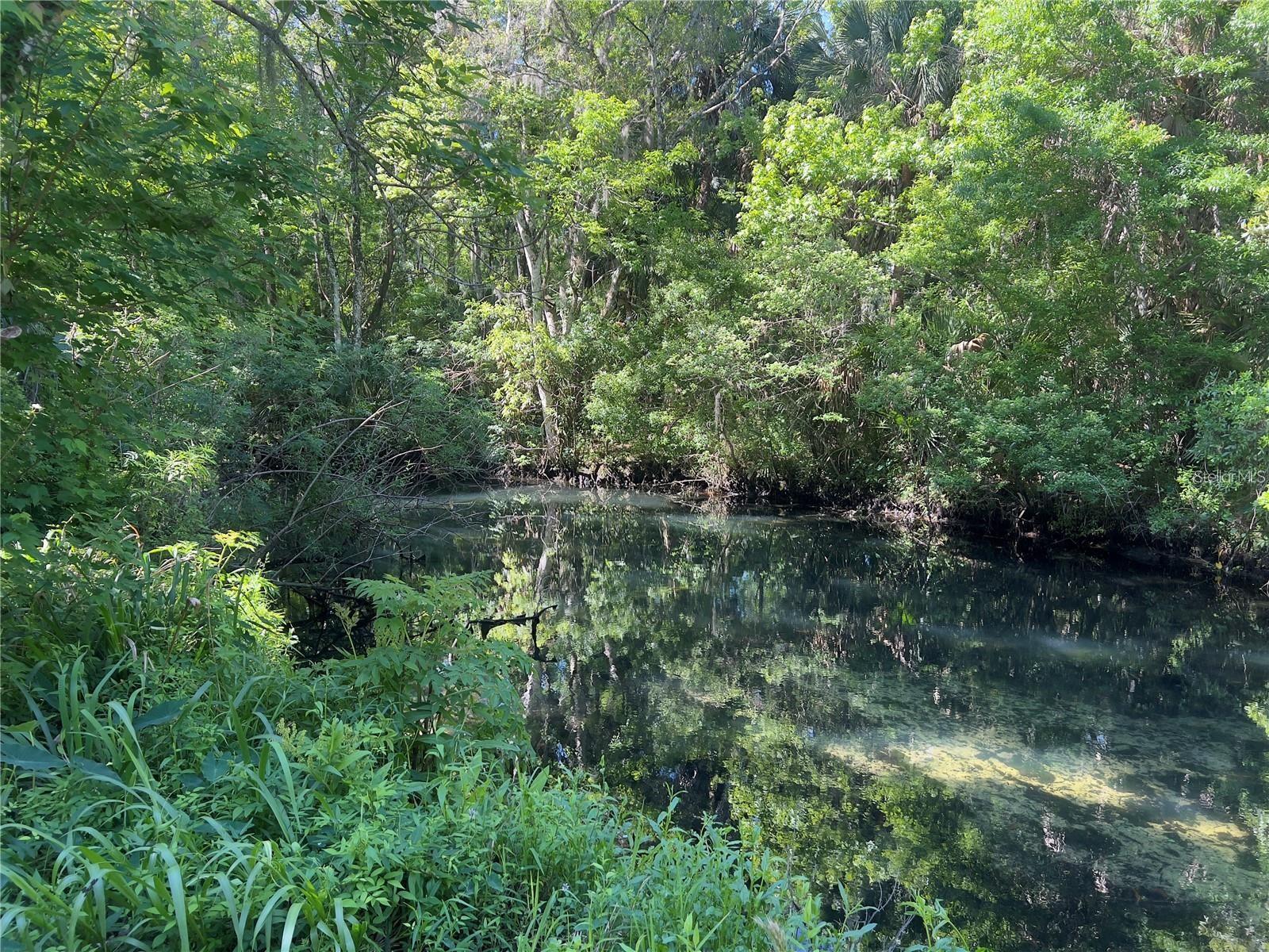 Image 6 of 11 For 332 Crystal Street