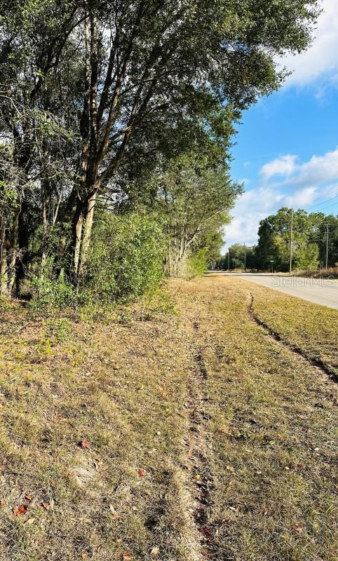 Details for 141st Avenue, OCKLAWAHA, FL 32179