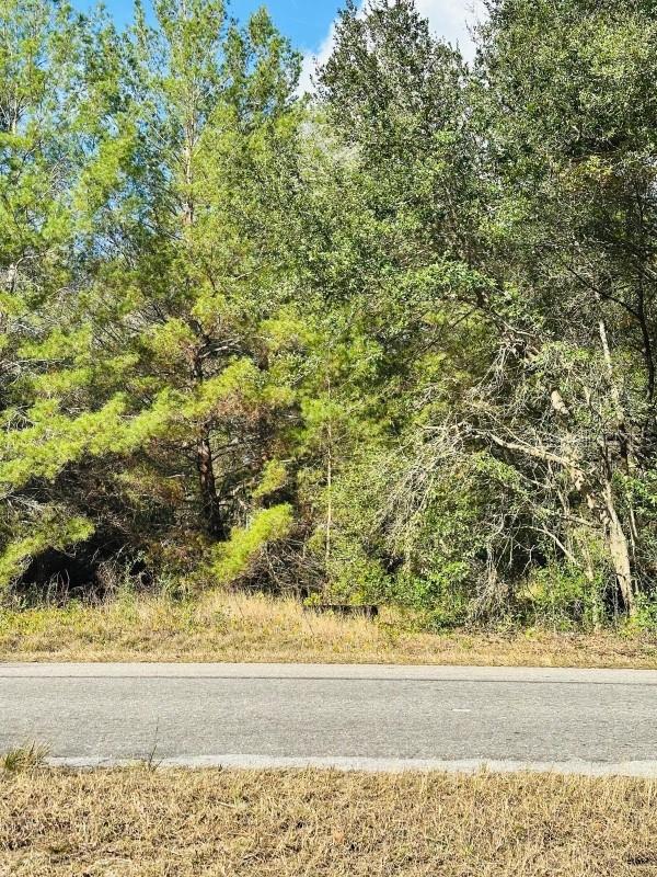 Image 4 of 6 For 141st Avenue