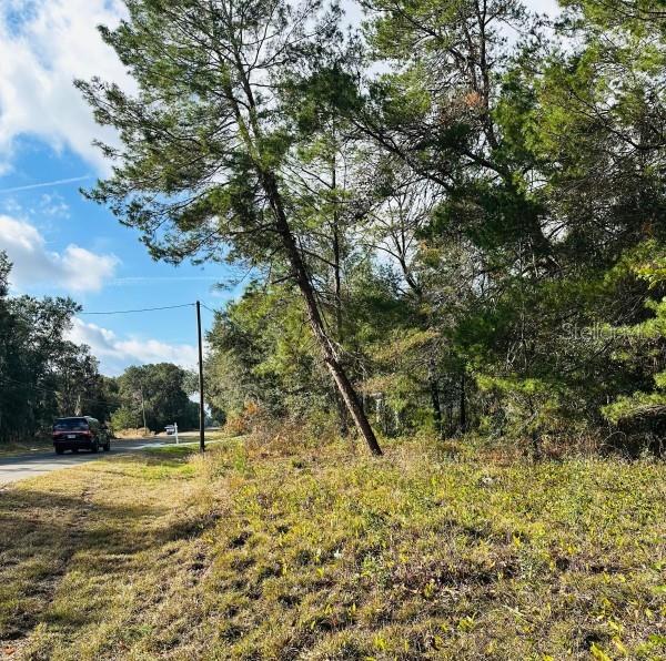 Image 5 of 6 For 141st Avenue