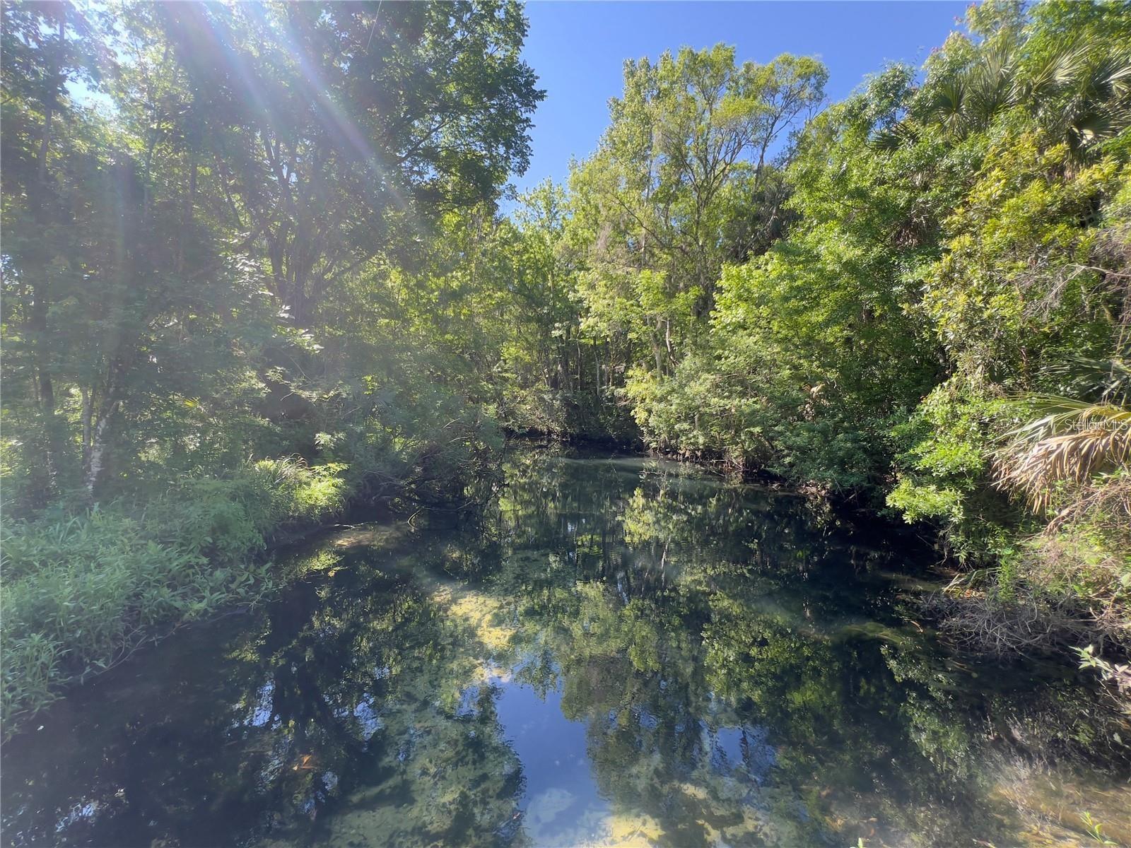 Image 4 of 10 For 332 Crystal Street