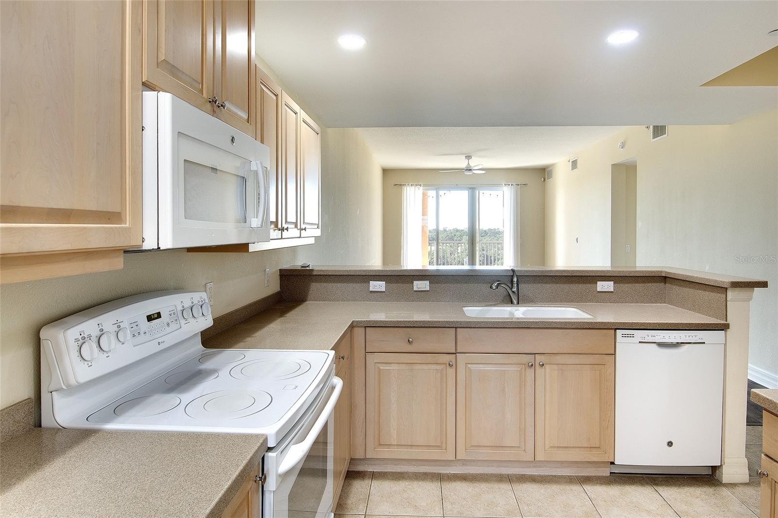 Image 5 of 27 For 1921 Monte Carlo Drive 603