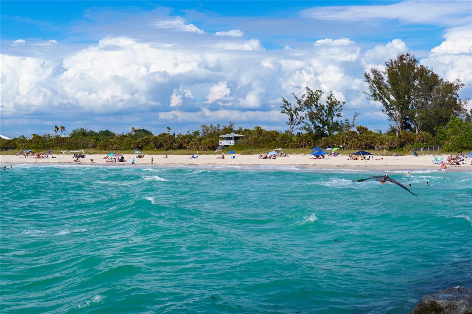 Image 34 of 44 For 15109 Shady Palms Lane