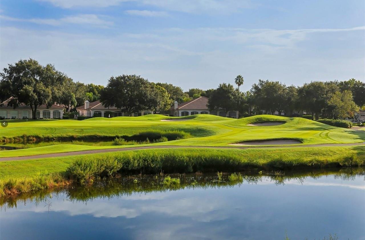 Image 49 of 58 For 5531 Hampstead Heath  44