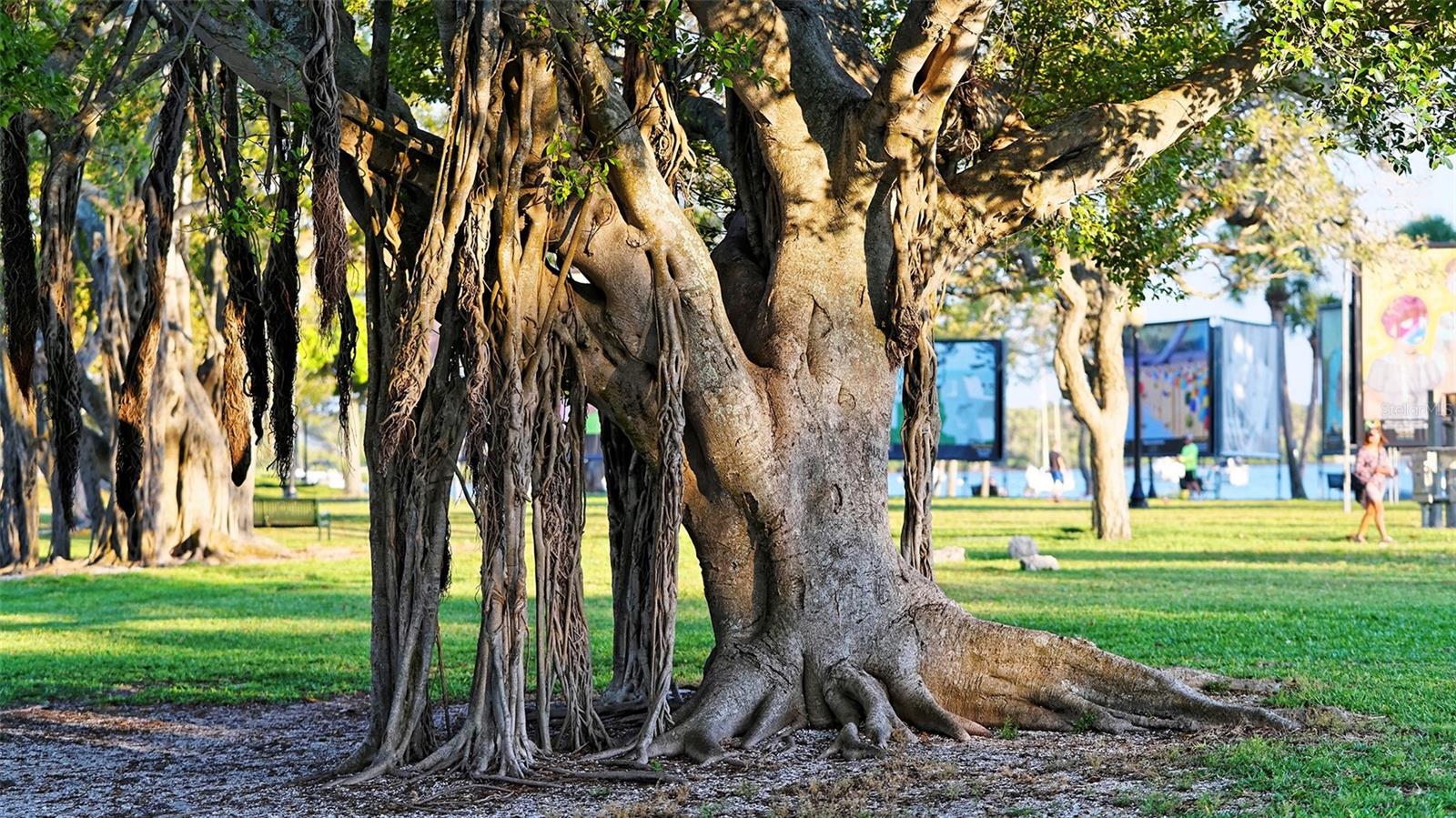 Image 61 of 66 For 1155 Gulfstream Avenue 1704