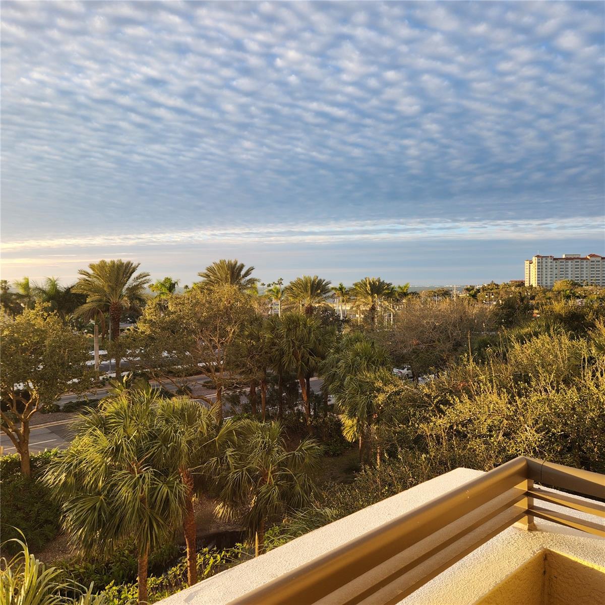 Image 29 of 51 For 800 Tamiami Trail 307