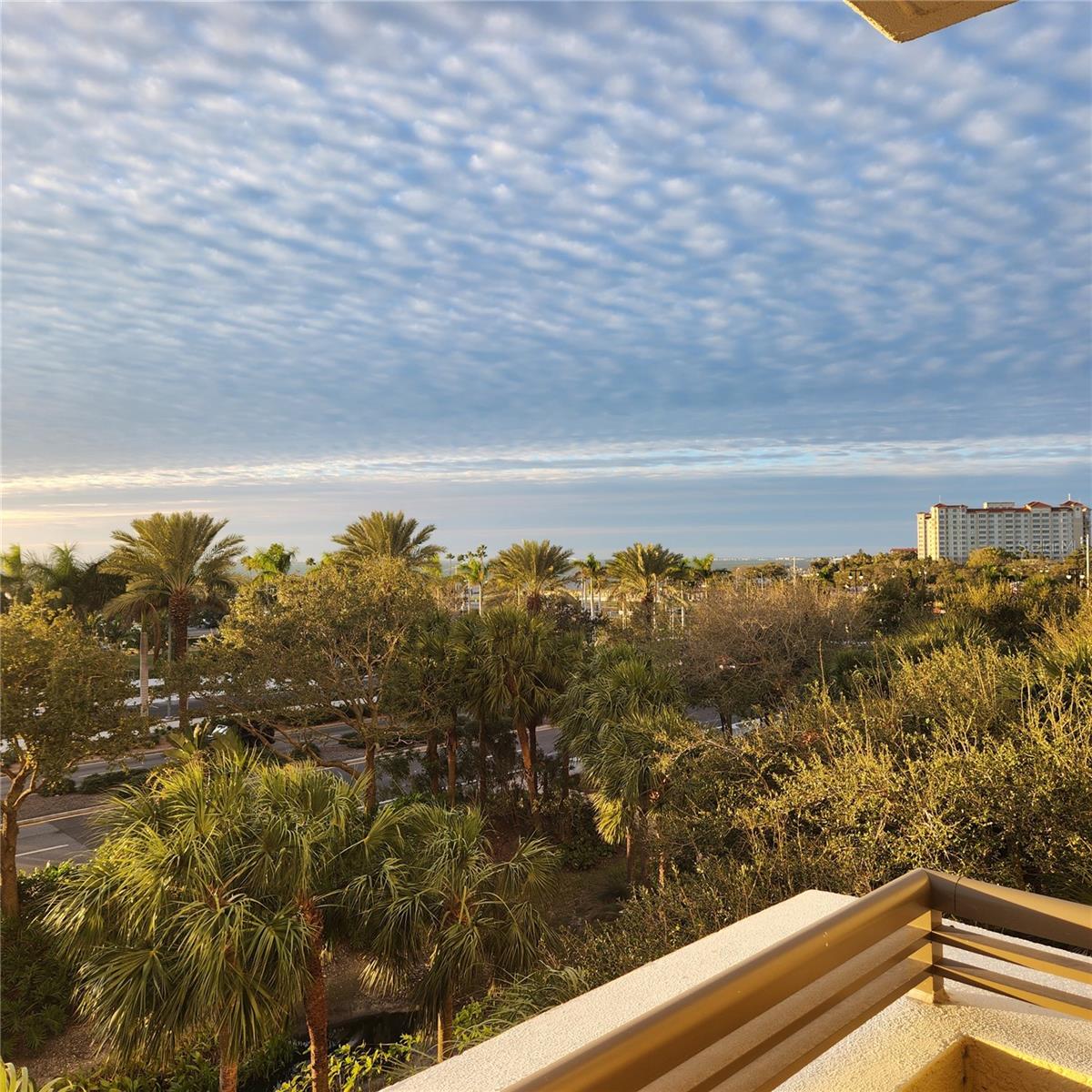 Image 30 of 51 For 800 Tamiami Trail 307