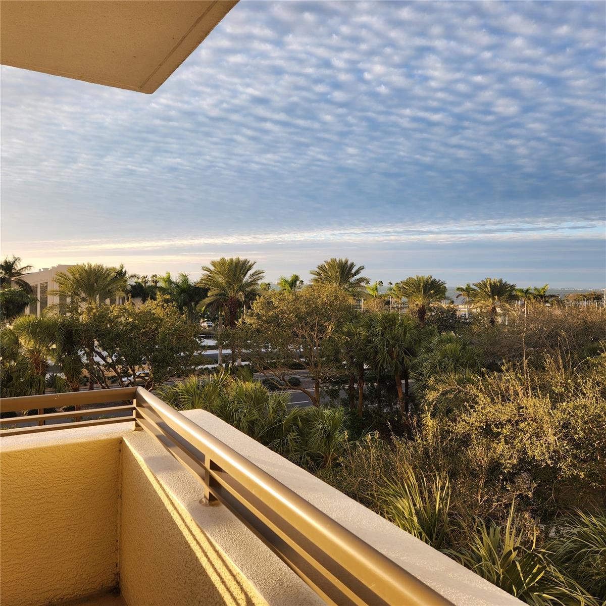 Image 31 of 51 For 800 Tamiami Trail 307