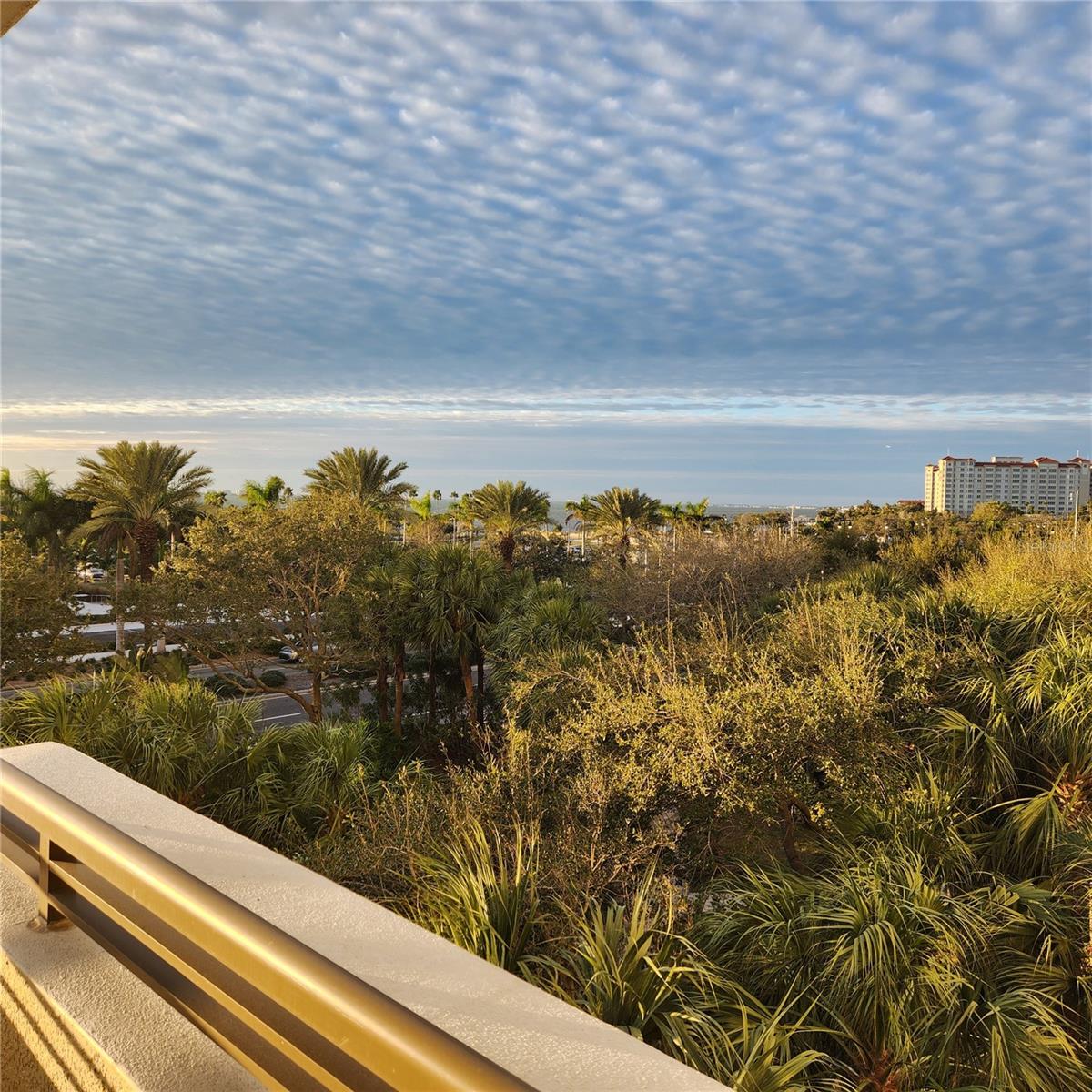 Image 32 of 51 For 800 Tamiami Trail 307