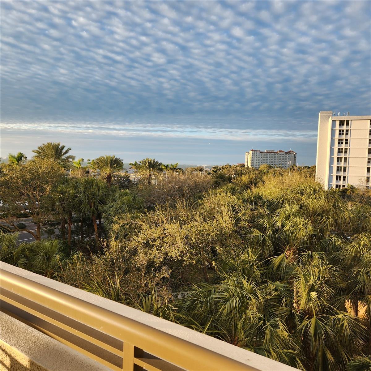 Image 33 of 51 For 800 Tamiami Trail 307