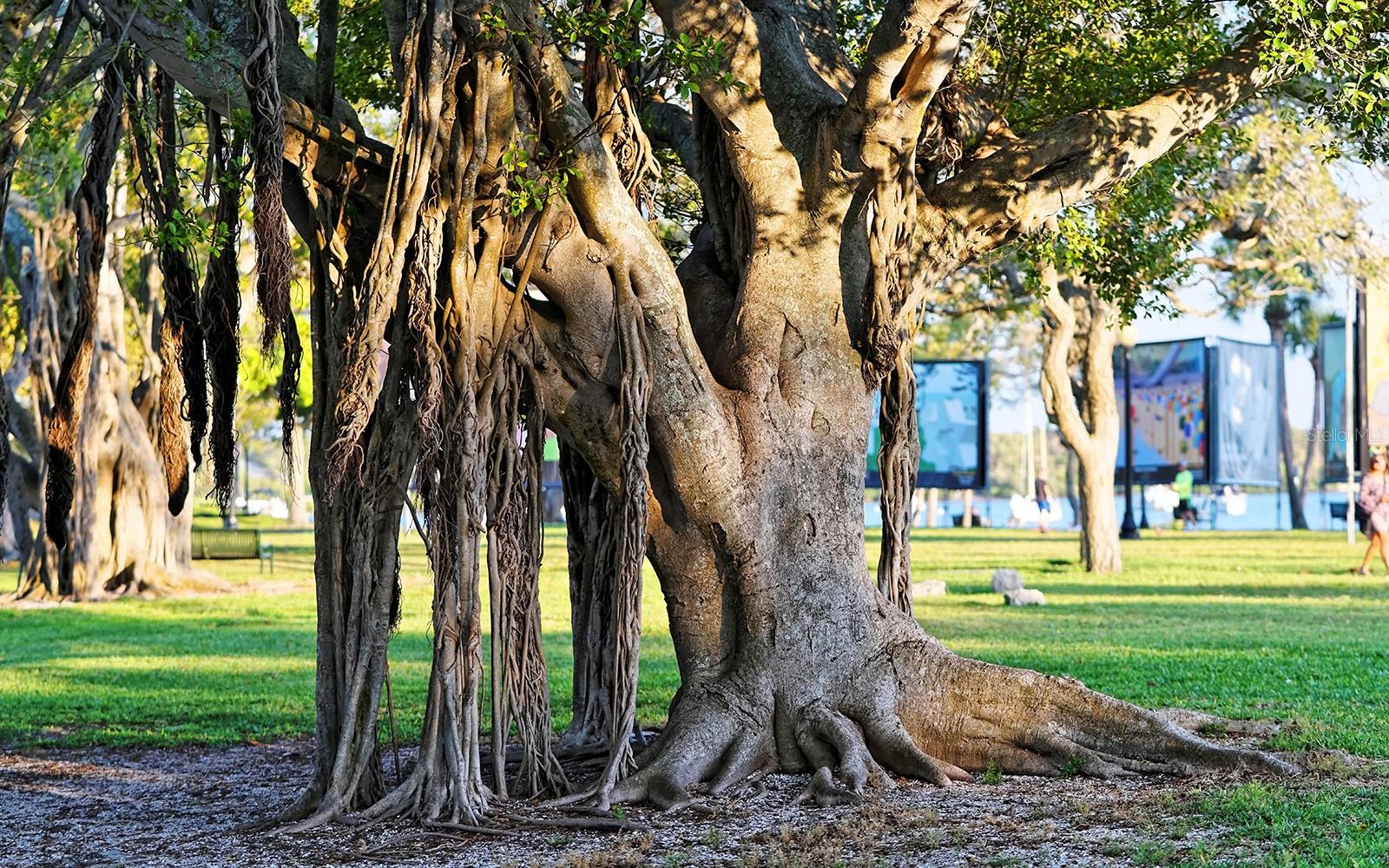 Image 43 of 92 For 835 Osprey Avenue 201