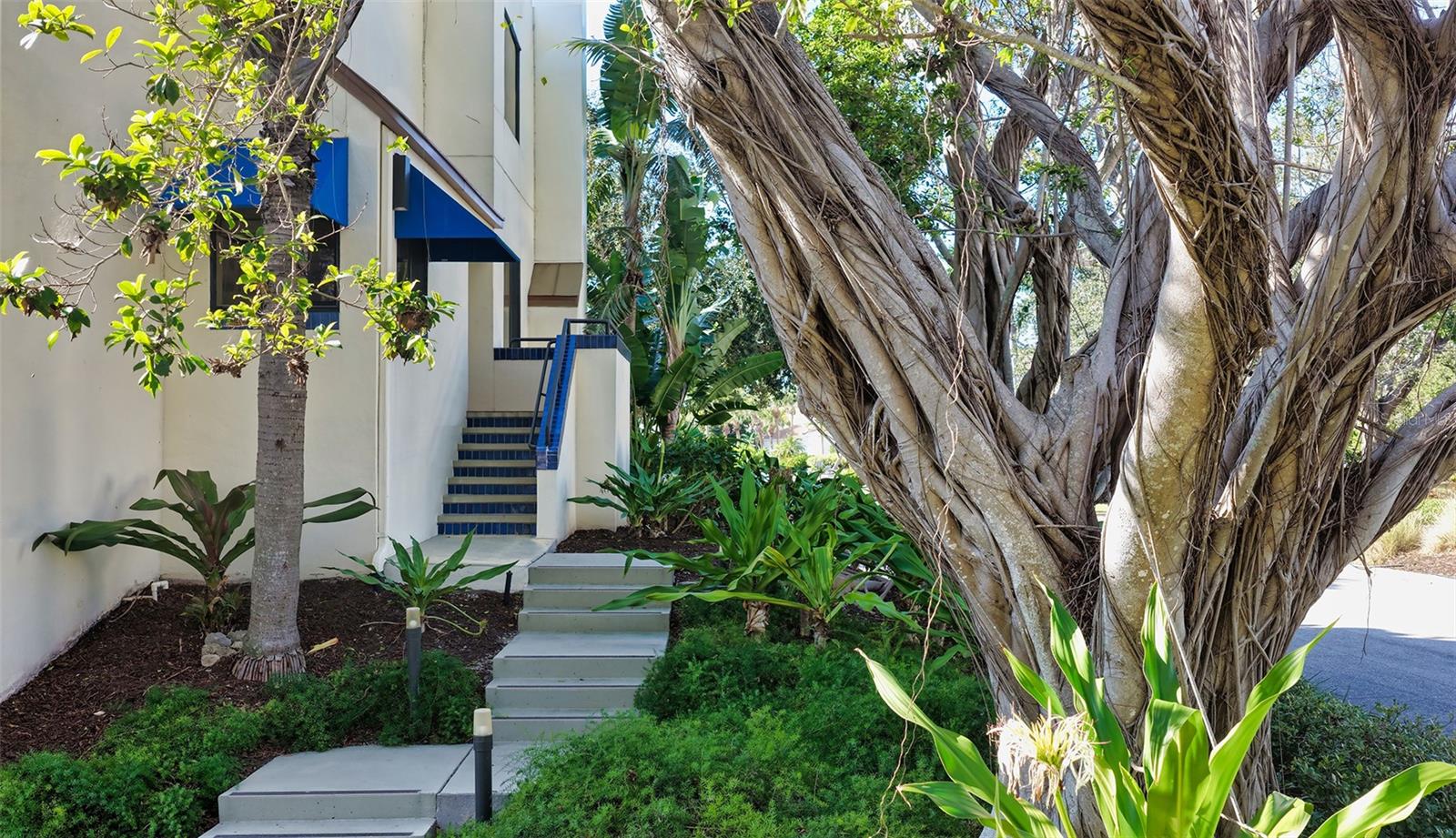 Image 4 of 61 For 1904 Harbourside Drive 201