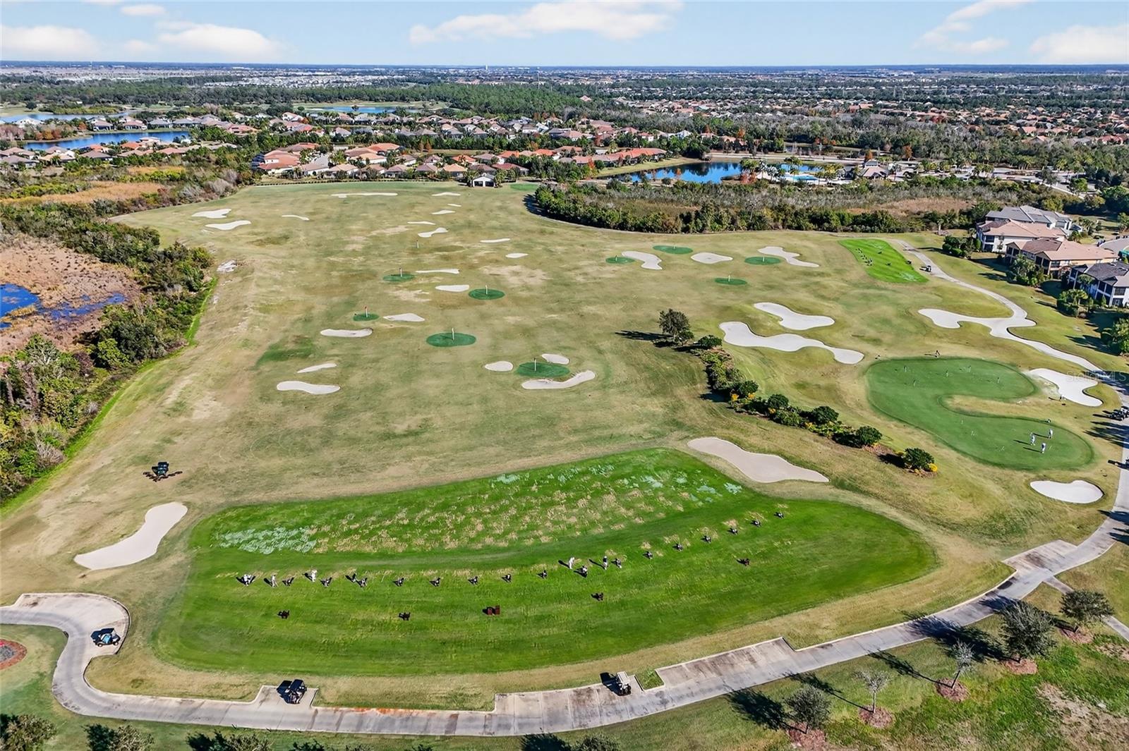 Image 38 of 69 For 7538 Divot Loop 2d