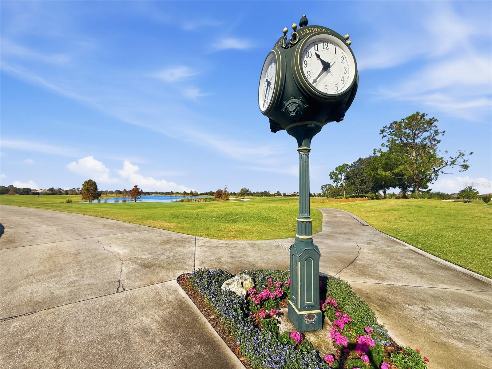 Image 60 of 69 For 7538 Divot Loop 2d